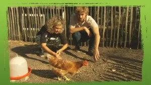 Bestaan dino’s nog?