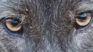 Is het snugger of kletspraat?