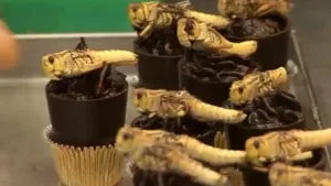 Is het snugger of kletspraat?