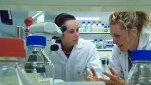 Hoeveel geluk heb je?