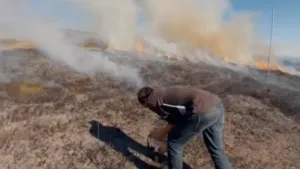 Wat doen natuurbranden met het klimaat?