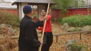 Kungfu