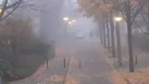 Is het snugger of kletspraat?