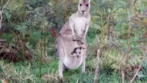 Is het snugger of kletspraat?