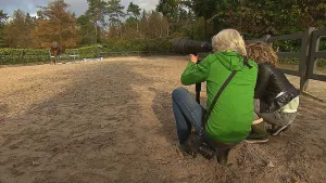 Paardenfotograaf