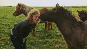 IJslands paard