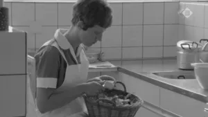 Geschiedenis van de thuiszorg in Nederland