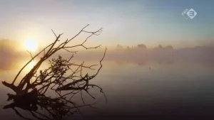 Het Naardermeer