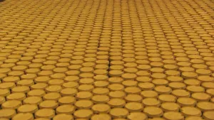 60.000 beschuitjes per uur