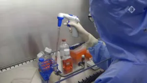 Werken aan de genezing van diabetes
