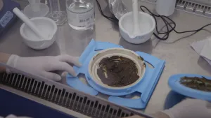 Gezonde poep kan ziektes genezen