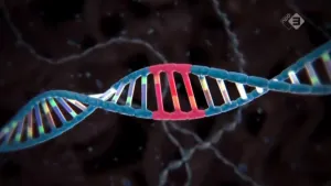 Gentechnologie