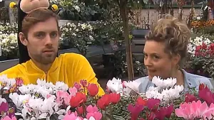 Zijn insecten handig of irritant?