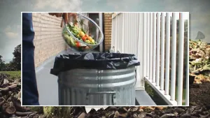 Voedselverspilling