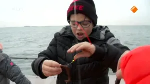 Aflevering 8