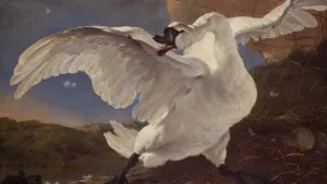 De bedreigde zwaan van Jan Asselijn