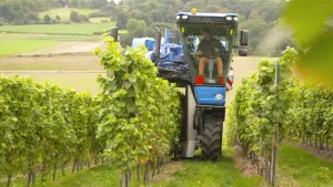 Schudden met die takken!