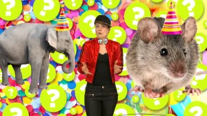 Een sterker lijf en minder vijanden