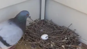 Is het snugger of kletspraat?