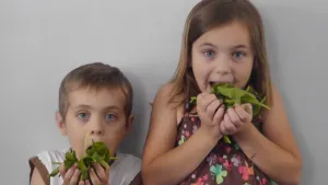 Is het snugger of kletspraat?