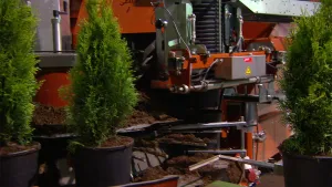 Alle planten in een pot