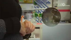 Bacteriofagen versus bacteriën
