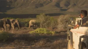 Zuid-Afrika: Wilde dieren