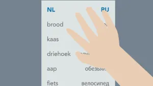 Vier tips voor het onthouden van woordjes