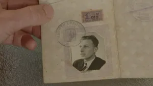 Het verhaal van Harry Stienis