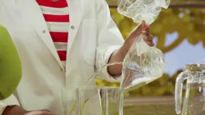 Met Wijze Varen en Buurpoes