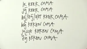 Hoe vervoeg je het Engelse werkwoord bingewatchen?