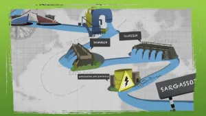 Het mysterie van de paling