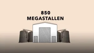 Nadelen van intensieve veeteelt