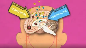 Als je je schaamt voor je ouders