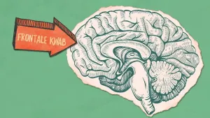 Als je een schuldgevoel hebt