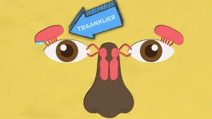 Als je verdrietig bent