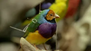 Dood, maar toch levensecht