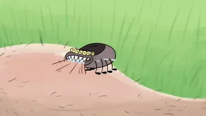 Wat is de ziekte van Lyme?