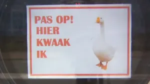 Is het snugger of kletspraat?