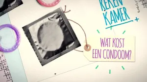 Wat kost een condoom?