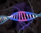 Wat is Crispr-Cas?