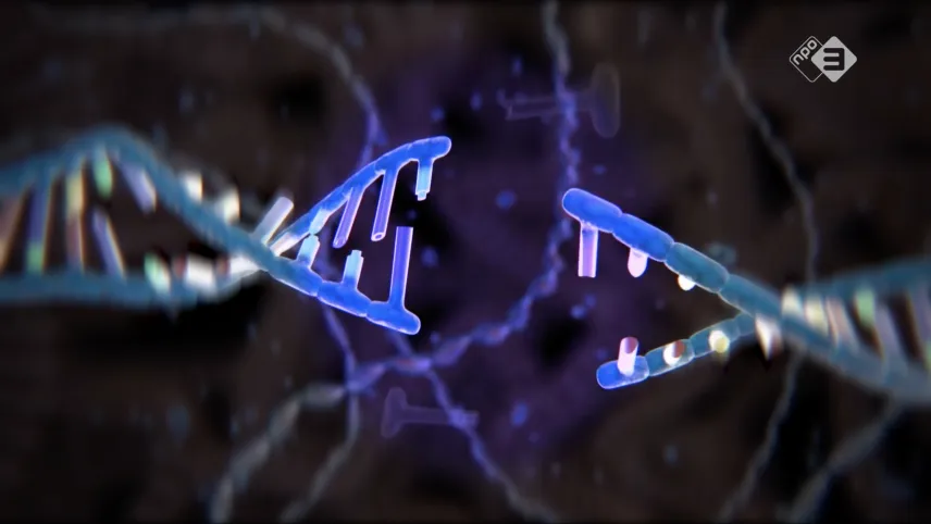 Ontwerp je eigen wereld