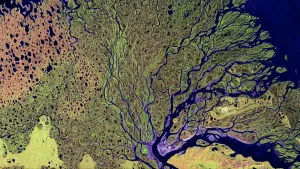 Waar een rivier uitmondt in de zee