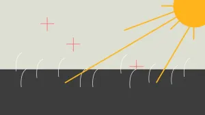 Als de zon straalt, straal jij een beetje mee