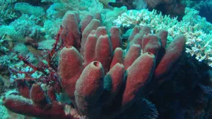 Is het snugger of kletspraat?