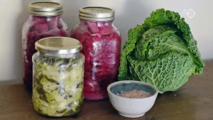 Fermenteren van voedsel