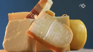 Foto van aantal grote stukken kaas bij elkaar.