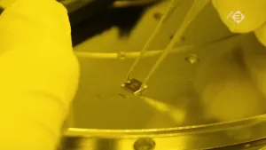 Foto van een (computer)chip vastgehouden met een pincet, van dichtbij genomen.