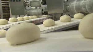 Foto van gestoomde broodjes uit China, bapao, die van een machine af komen in fabriek.