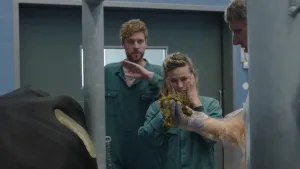 Koeien: Queens of milk!